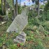 PICTURES/London - Kensal Green Cemetery and Catacombs/t_20240928_150152.jpg